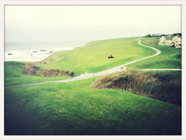 Exposing Chancerne: Revealing an Enduring French Rural Haven