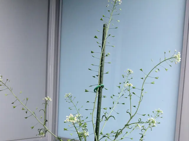 Regulatory action begins for the establishment of a novel law on uniform treatment for men and...