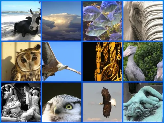 Creatures Commencing with 'C': Spanning from Cassowaries to Caimans