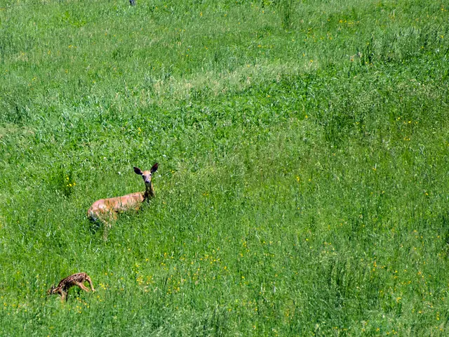 Reporter Alexandre Shields' Scorching Hot Summer Adventures