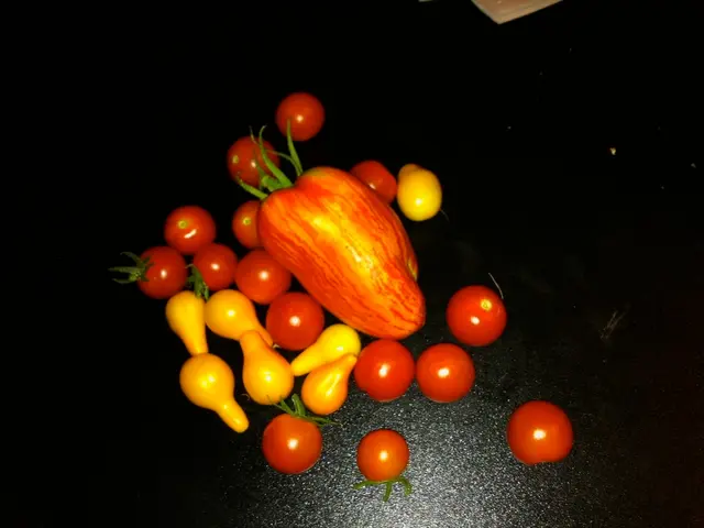 Best Fruits Packed with Protein to Elevate Your Nutritional Intake