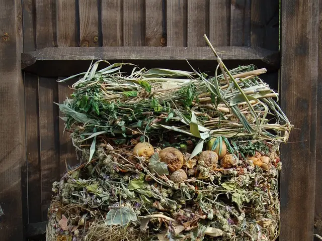 Construction of three waste sorting facilities set in YANAA pending approval