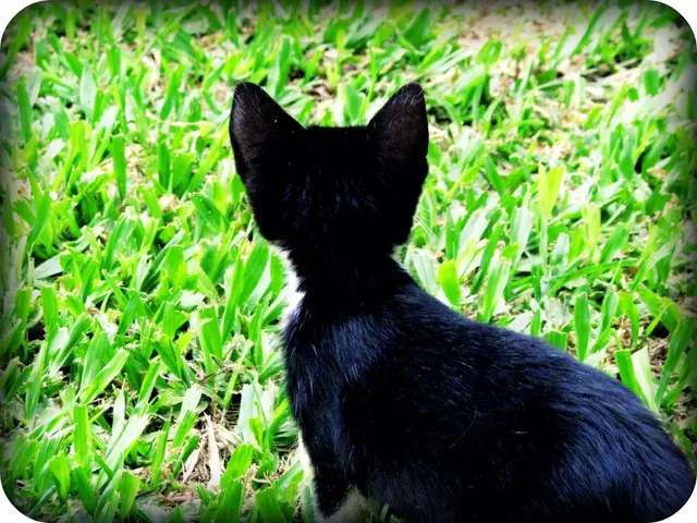 Exploring the Allure and Enigma of Dark Creatures: Symbolic Significance, Evolutionary Resilience,...