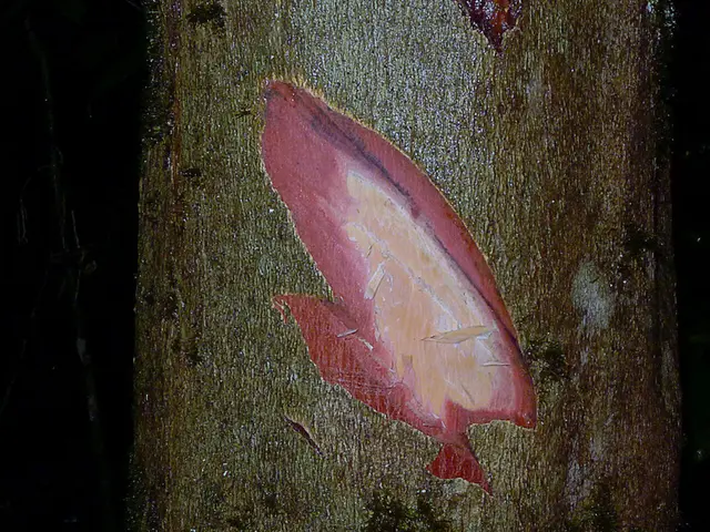 Artificial Intelligence from OpenAI Engineers Synthesizes Enhanced Stem Cell Proteins for Extended...