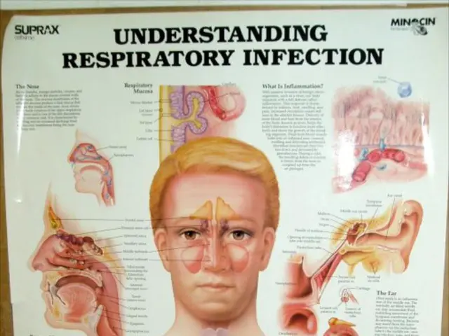 Non-brain regions may initiate Alzheimer's disease, suggests a new study.