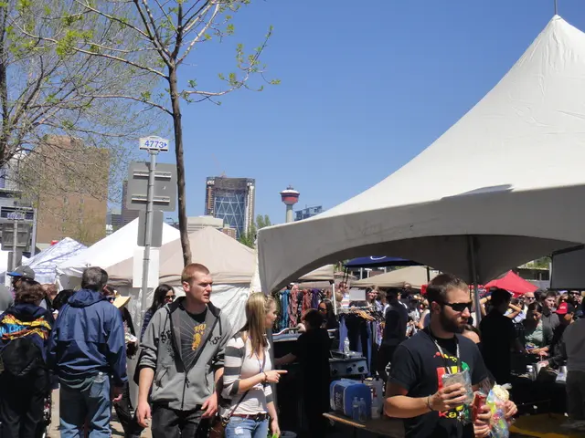 Government Spending Altering Private Investment: The Crowding Out Phenomenon Explained