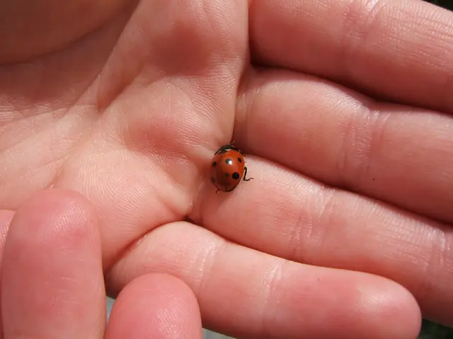 Link Between Feces and Conjunctivitis: Examination and Remedy