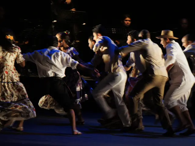 Creating Dance Social Networks Utilizing Reign WordPress Template