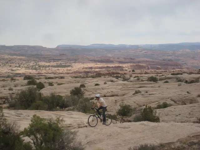 Bicyclist experiences a severe accident at Schierling, sustaining injuries; helmet likely mitigates...