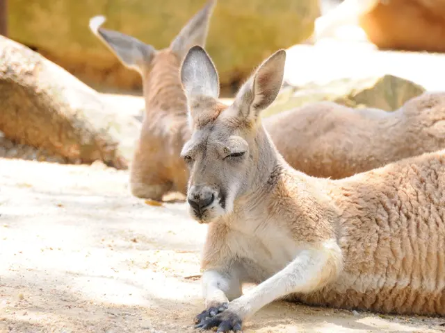 Workshop on Chronic Wasting Disease Sampling, organized by Game and Fish, taking place in Cheyenne