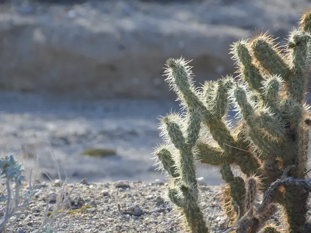 Majority of California electorate disapprove Trump's immigration law enforcement strategies,...