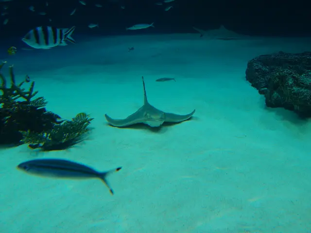 Remarkable Animal Societies Unveiled in the Depths of the Mariana Trench