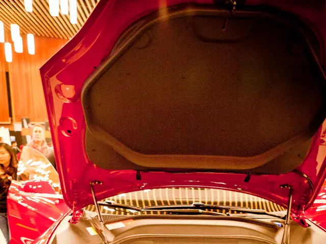 Worldwide Electric Vehicle Strategies by Original Equipment Manufacturers: Europe (Series -...