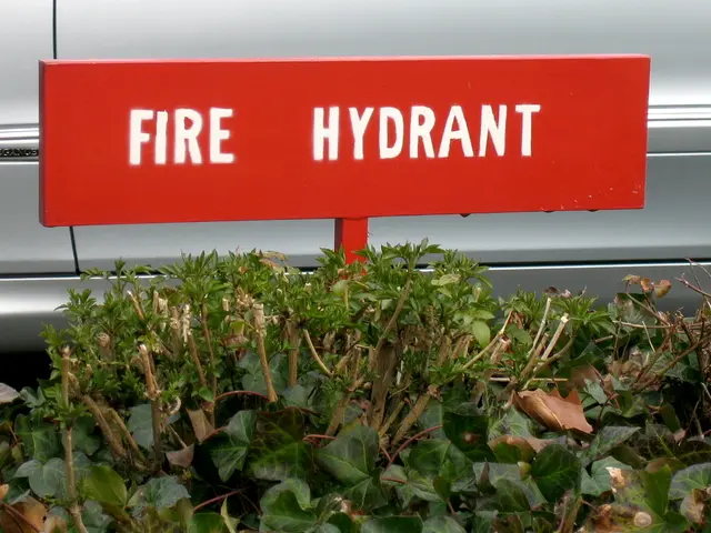 Enjoy a beverage from Yeti's mugs, bottles, and assortments, now available in vibrant color schemes...