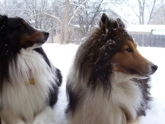 New Series Alert: Disclosure on Release Date, Trailer, Main Cast, and Insights for "The Hunting...