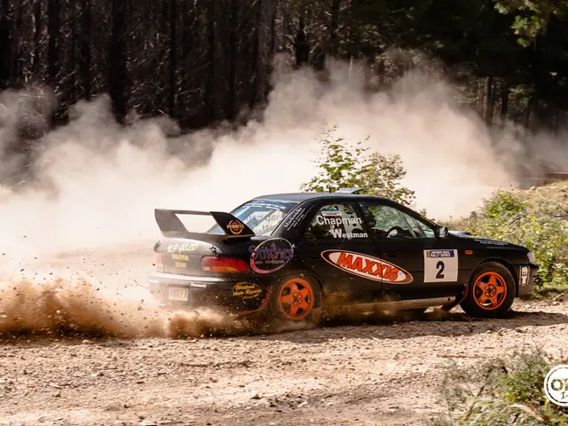 Higher Road Accident Risk Identified Due to Increased Airborne Pollen