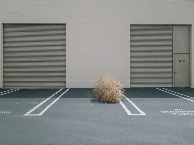 Inform Member States about the implemented steps associated with this Decision by the Commission.