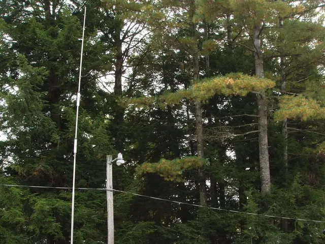 Rearranged Seating Design in Caravans: An Unusual Option and Here's Why