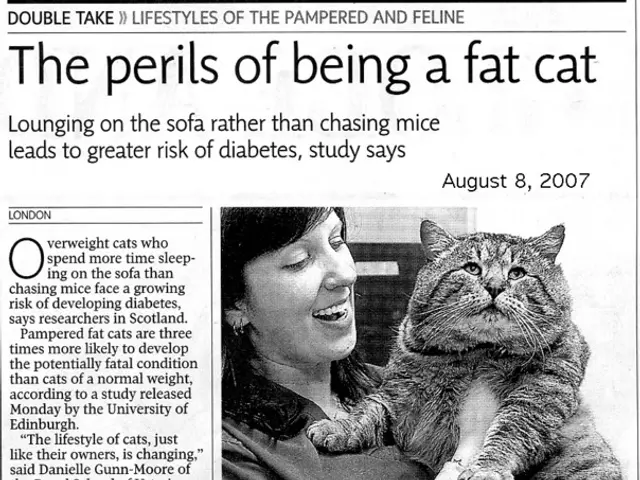 Homeowner in Sochi reveals footage of his son's attack by a husky inside their home