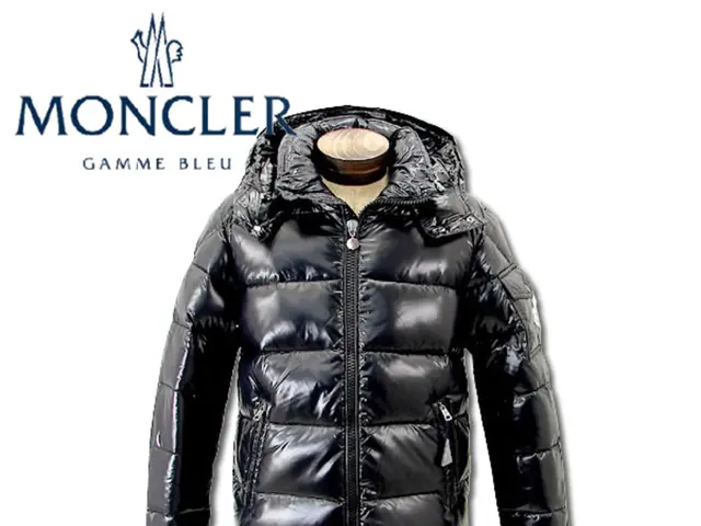 Child victimized during theft at Dresden Central Station