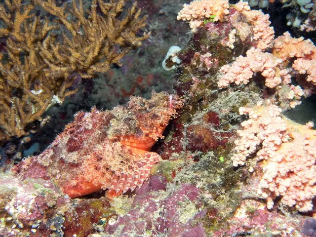 Stepping up guardianship for marine environments