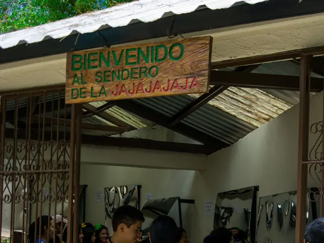 Making a profit by peddling garments on Roblox?