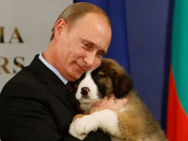 Mystery individual sprays teenagers and canine with an unidentified substance