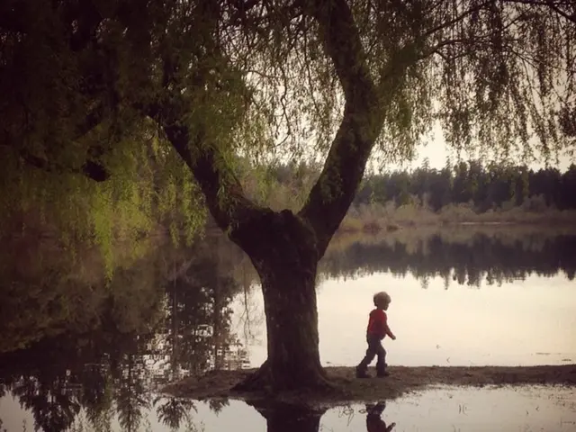 Practical Navigation Skills for Children to Develop Life-Oriented Competencies Outdoors