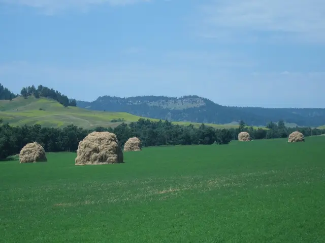 Participants and jurors selected the top photos in the "Environment&Me 2025" photography contest