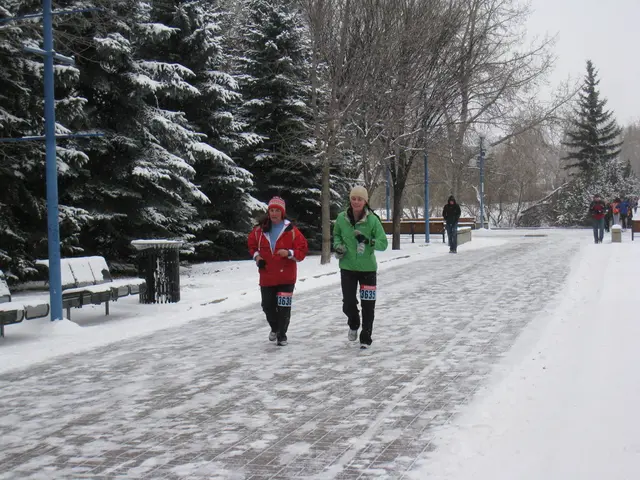 Strategies to Boost Your Outdoor Areas with Hued Elements