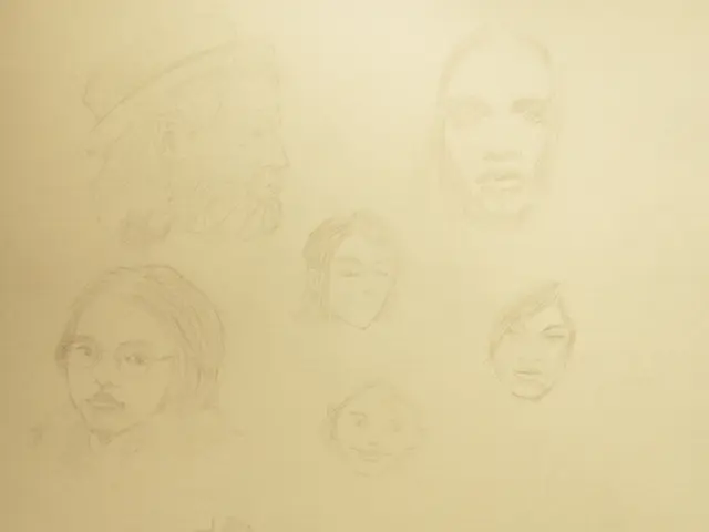 User Statistics and Financial Data for Canva