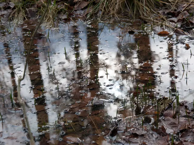 Preparing meals or dishes in a kitchen using various ingredients and cooking methods.