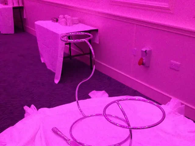 Refresh Your Living Space: Comprehensive Directions for Cleaning Carpets in Singapore