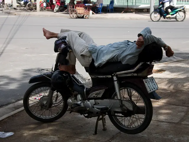 Gronau Investigation: Locating the Involved Individual in Road Accident (Pol-Bor)