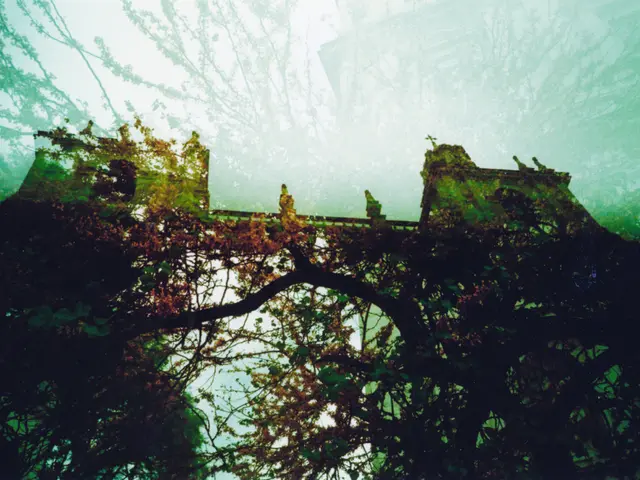 Damage Initially Inflicted on Forest Castle Bridge