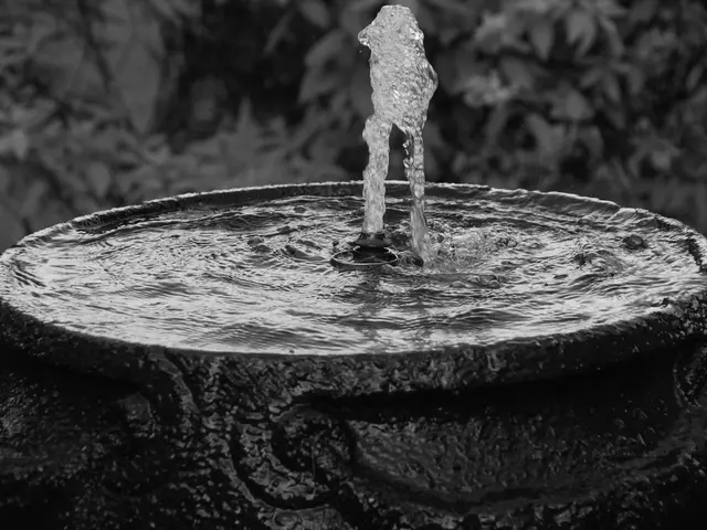 The rose garden will remain closed and unavailable until the arrival of spring in the year 2026.