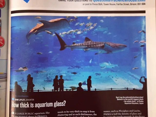 Fisheries insurance and vessel registration legislation now legally enforceable