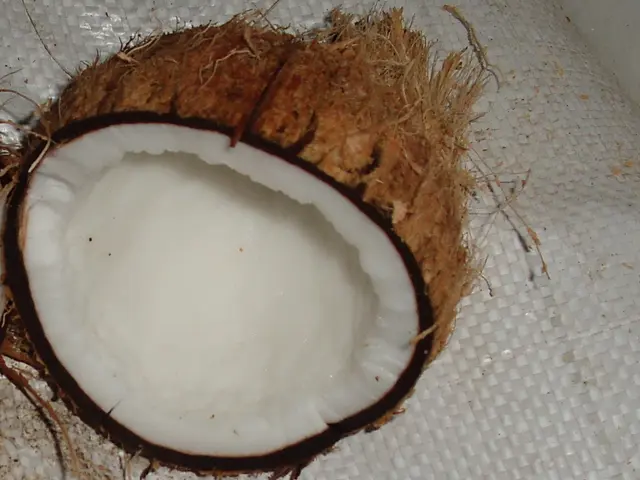 Advantages of Using Coconut Oil on Your Face