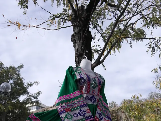 Hair Professional Stehling Resumes Work at Ammerschuber's Salon, Adoro