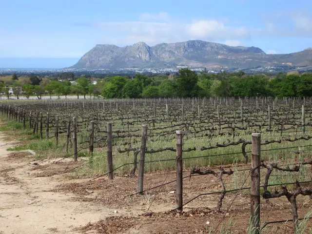 Agricultural Land Values and Lease Rates in Western Ohio during 2014-2015