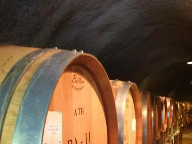 Oil Futures' Optimistic Potential Persists