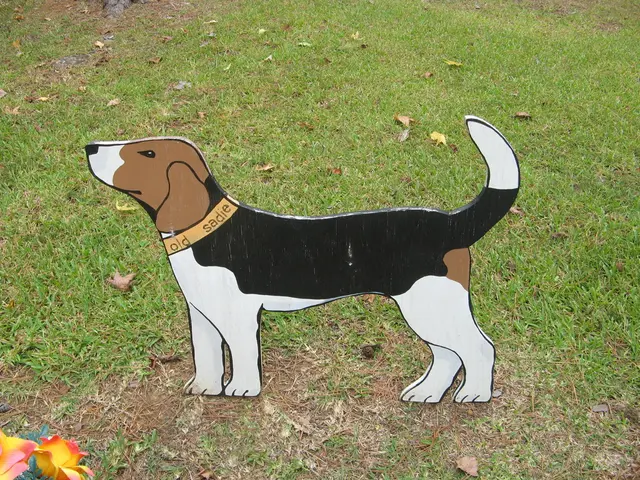 Tips for keeping your dog healthy and active: From aroma-seeking toys to brain-stimulating puzzles,...