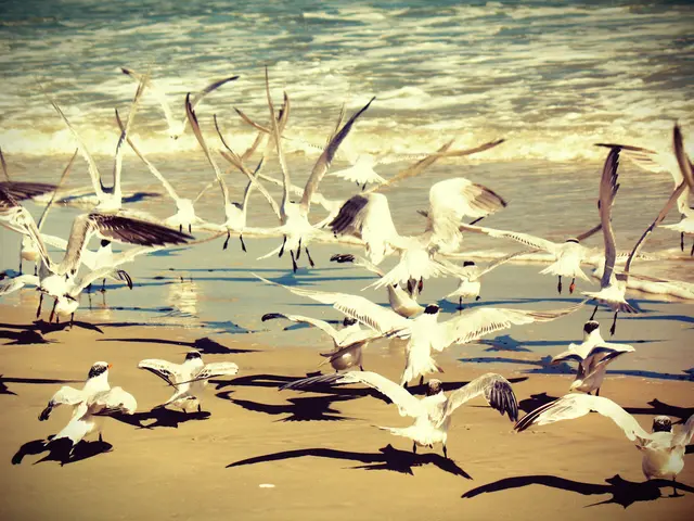 Birds Increase Their Chorus Duration in Response to Artificial Light Exposure: Research Findings