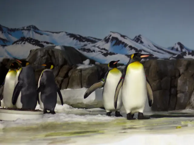 Scorching Antarctica: Timing, Causes, and Implications Explored