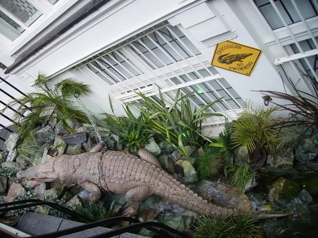 UAE and Cyprus reiterate their dedication to aiding Gazan residents through the Amalthea...