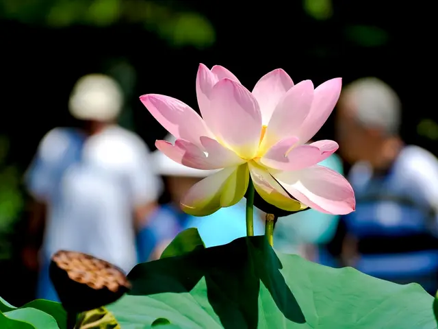 Layoffs of 550 employees at Hethel, announced by Lotus to safeguard operations