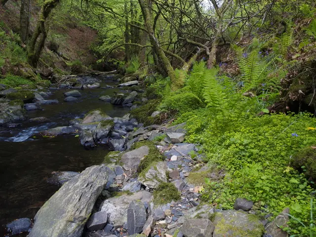 Today, as per Transición Ecológica's report on August 5, the water reservoir stands at 36,852...