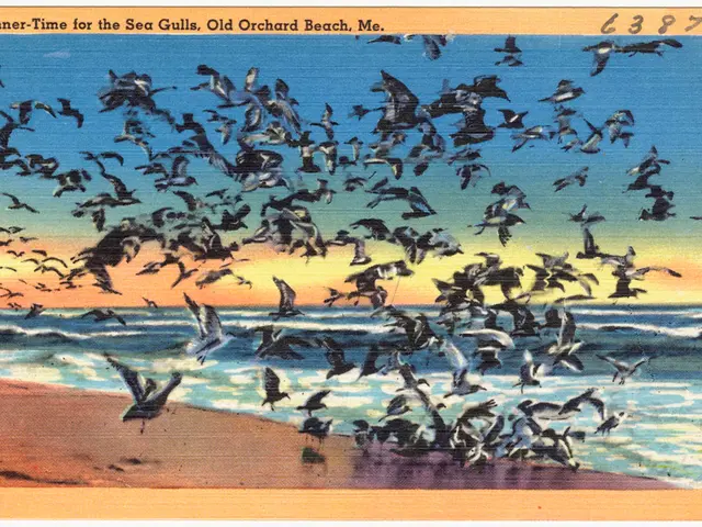 Iberdrola joins forces with AMUS in an effort to preserve the alimoche species