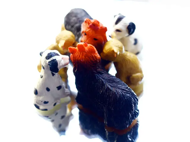 Labubus: An Exploration plus Business Insights Derived from This Entity