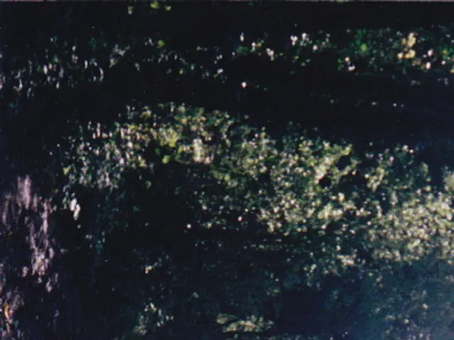 Developed Plants Emitting Multicolored Lights May Pave Way for Avatar-inspired Illumination Systems